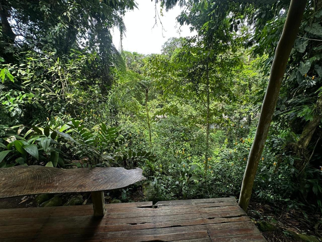 Casa Rio Blanco Eco Friendly B&B Guápiles Exterior foto
