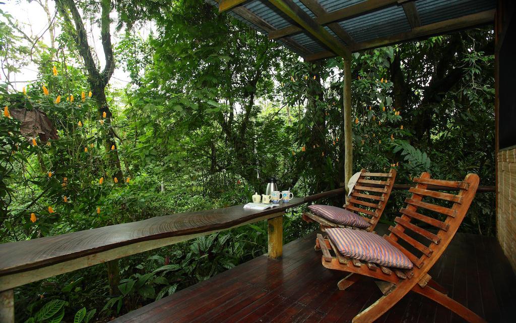 Casa Rio Blanco Eco Friendly B&B Guápiles Exterior foto